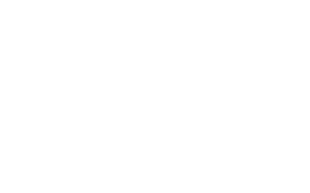 Logo Baerenschloessle weiss RGB